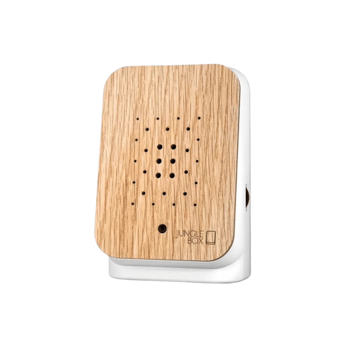 Jungle Box