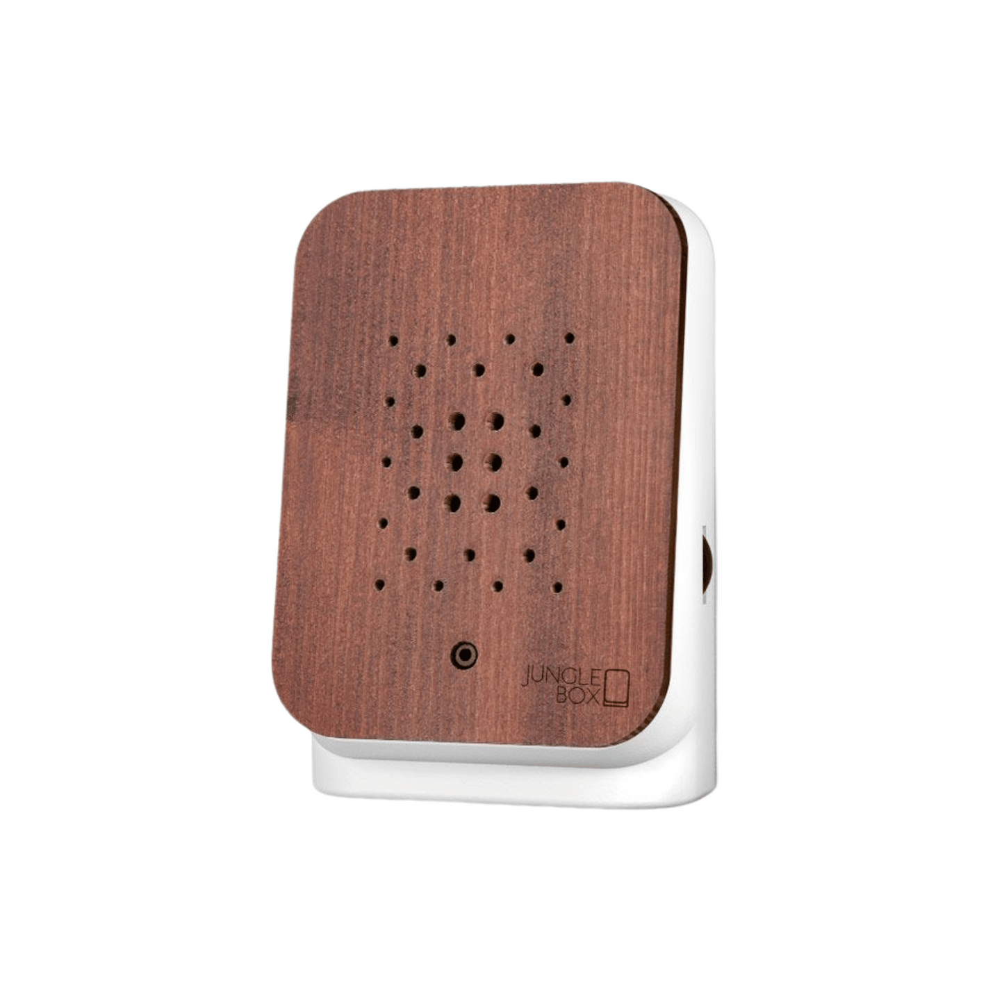 Jungle Box